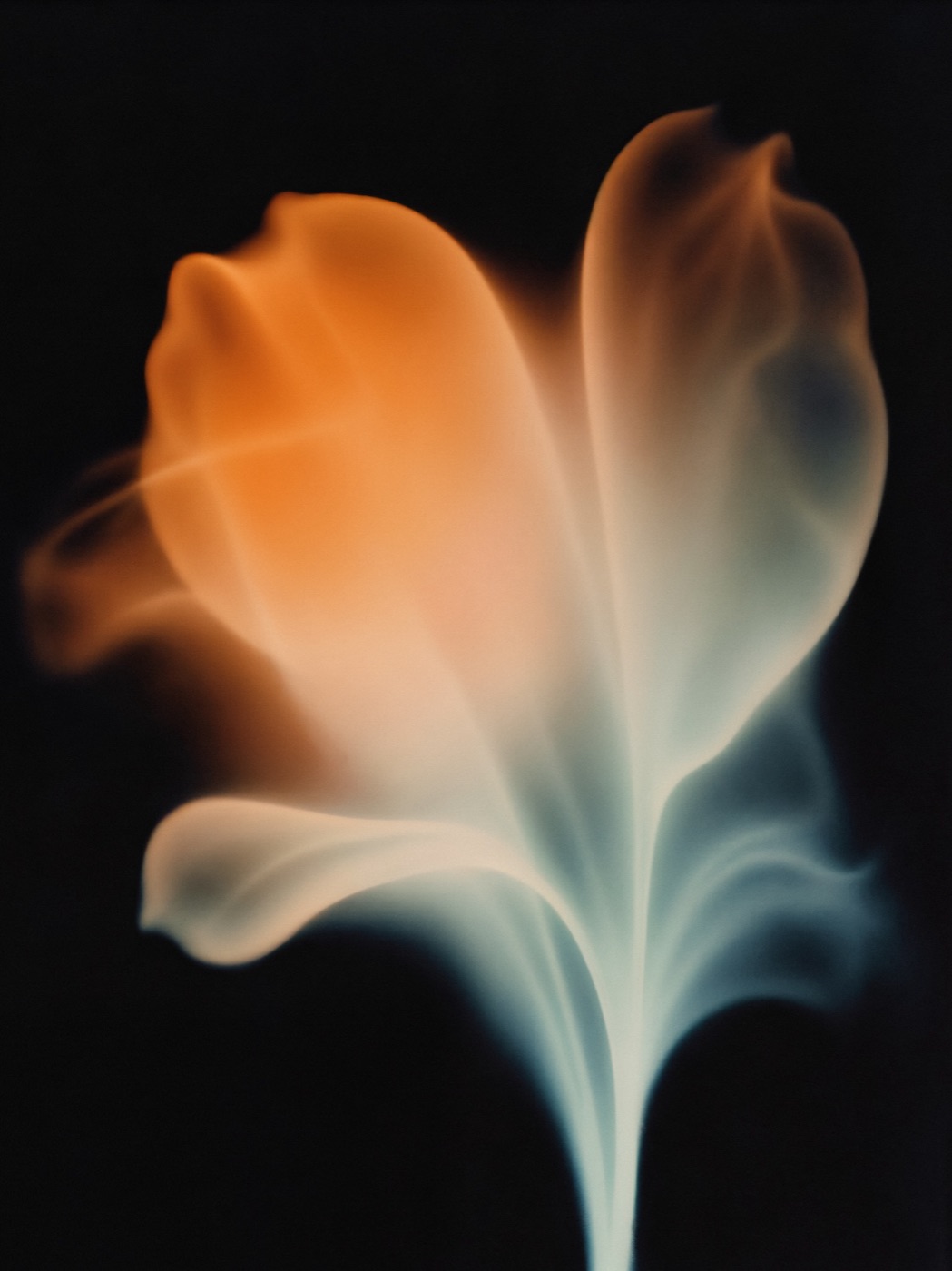 Smoke blooming into the shape of a flower